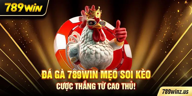 Đá Gà 789WIN mẹo soi kèo, cược thắng từ cao thủ!