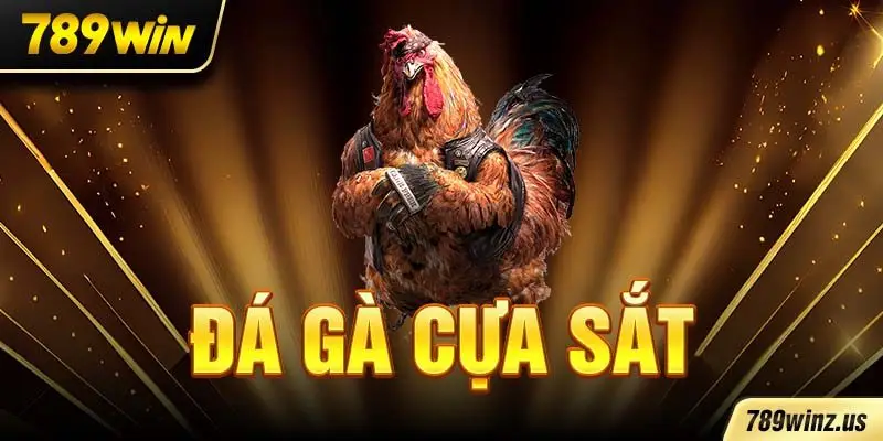 Đá Gà Cựa Sắt là bộ môn giải trí hấp dẫn