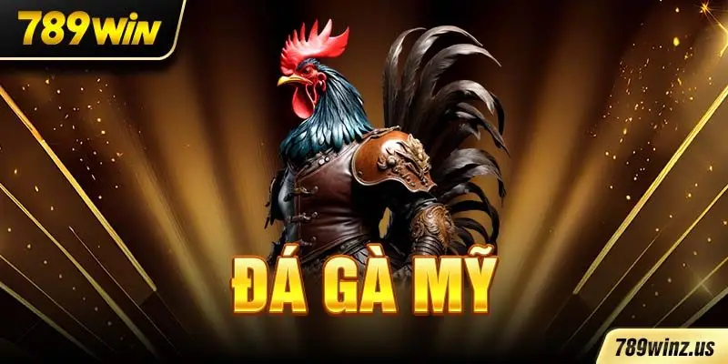 Đá Gà Mỹ là lựa chọn số 1 của người chơi cá cược yêu thích tốc độ.