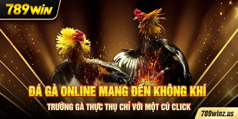 Đá gà online mang đến không khí trường gà thực thụ chỉ với một cú click