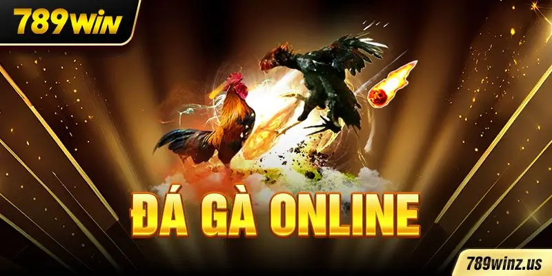 Đá Gà Online Tại 789WIN tham gia cá cược những trận gà mới nhất