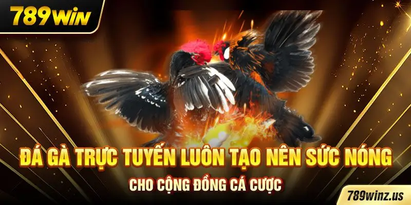 Đá gà trực tuyến luôn tạo nên sức nóng cho cộng đồng cá cược