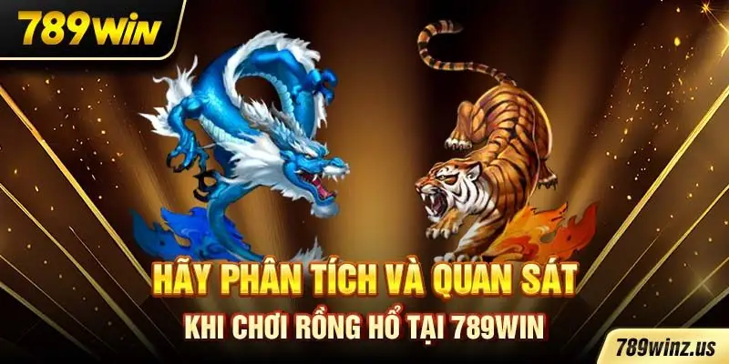 Hãy phân tích và quan sát khi chơi Rồng Hổ tại 789WIN