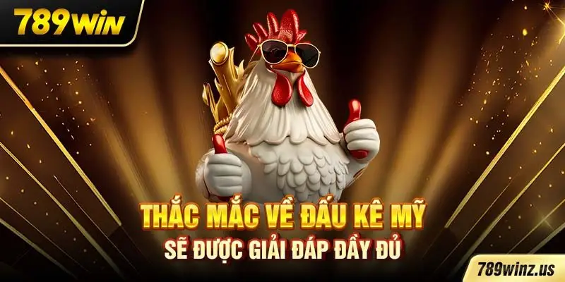 Thắc mắc về đấu kê Mỹ sẽ được giải đáp đầy đủ