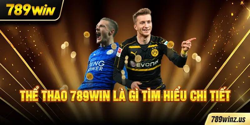Thể thao 789WIN là gì tìm hiểu chi tiết